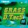 Tibhar Belag Grass D.TecS GS