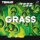 Tibhar Belag Grass