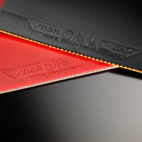 Stiga Belag DNA Dragon Power 55