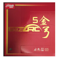 DHS Belag Gold ARC 5 42.5°