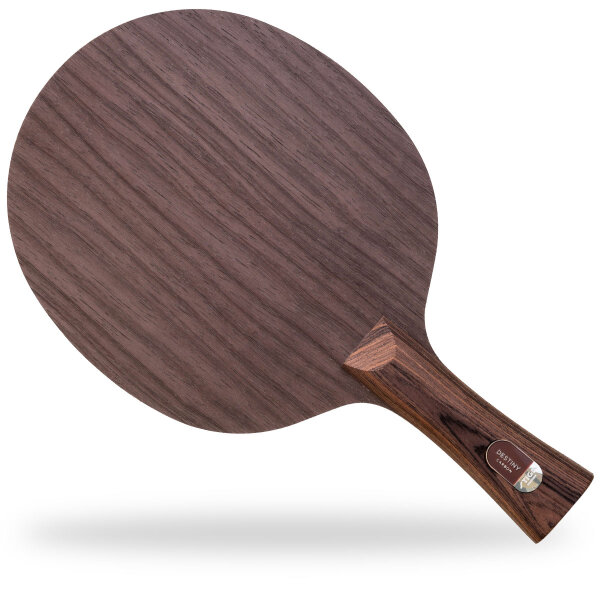 Stiga Holz Destiny Carbon