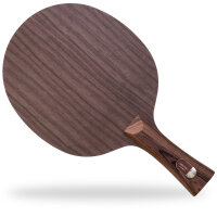 Stiga Holz Destiny Carbon