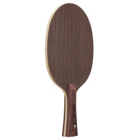 Stiga Holz Destiny Carbon