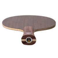 Stiga Holz Destiny Carbon