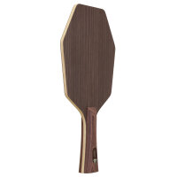 Stiga Holz Destiny Carbon Cybershape
