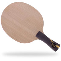 DHS Holz Hurricane King.Q konkav