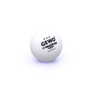 GEWO Trainingsball *** 40+