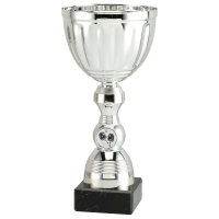 Pokal Kaya