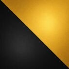 schwarz/gold